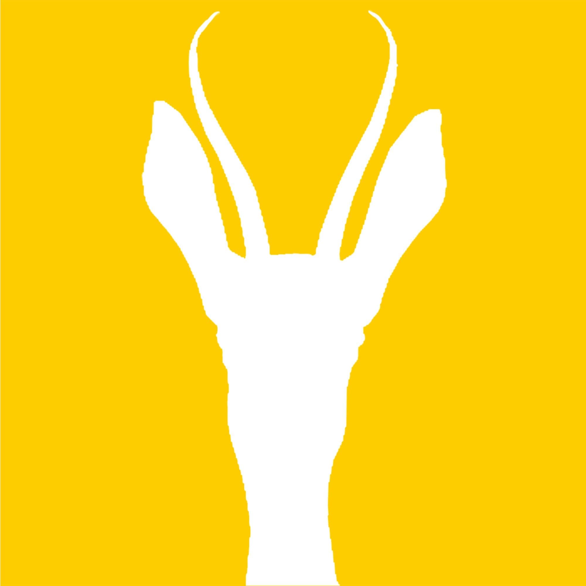 springbok